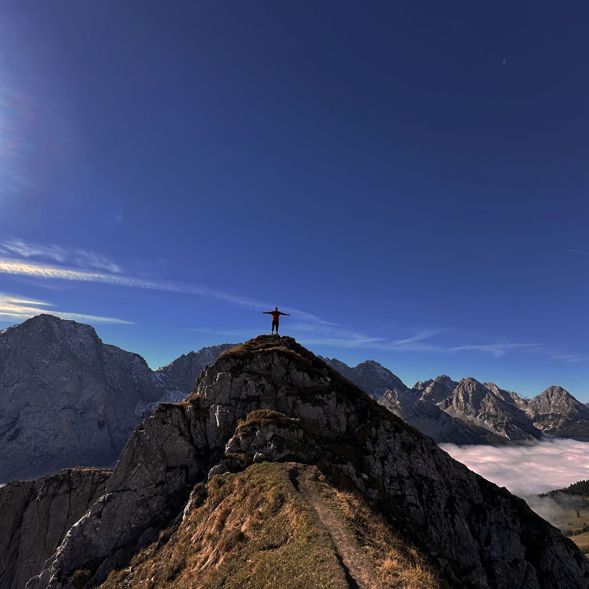 Dialetics xAlps 2026